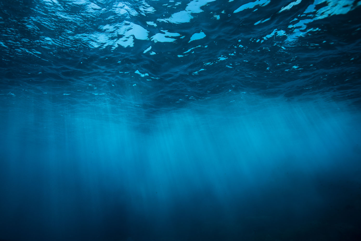 Mundo Azul