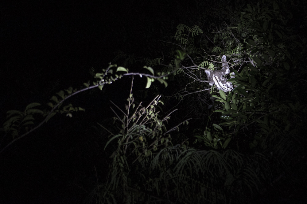 R5A8388 — fotografia fine art de Cristiano Burmester