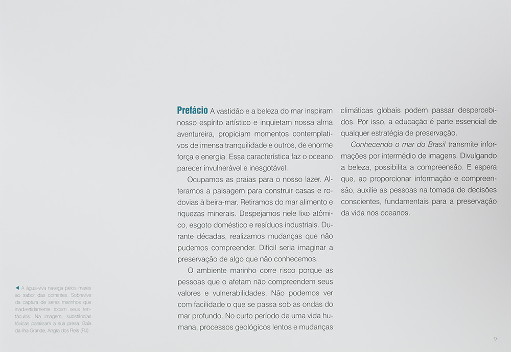 Prancha 5 — Conhecendo o Mar do Brasil